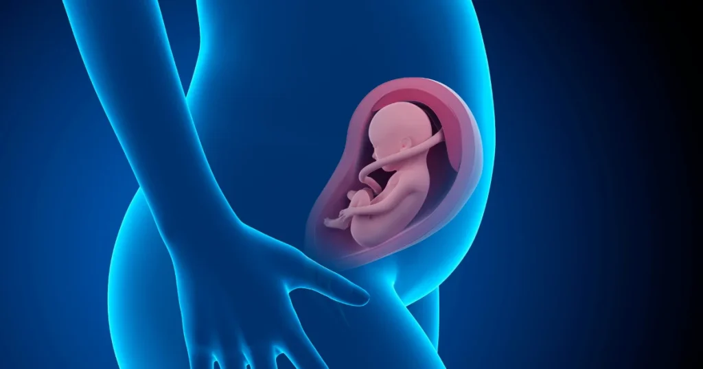 Methods of Fetal Growth Assessment